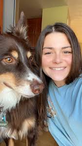 Australian shepherd puppies for sale in Wisconsin