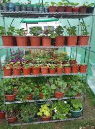 Now let's get to work and make some diy hexagon plant shelves to display our plant friends. China Adjustable Chrome Iron Heavy Duty 5 Tiers Plants Storage Wire Shelves For Garden China Plant Storage Rack And Flower Storage Shelves Price