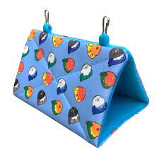 pin on lovebird