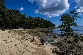 A Rocky Beach At Siargao Island Philippines Philippines Travel Siargao Island Philippines