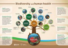 Biodiversity And Infectious Diseases Questions And Answers Convention On Biological Diversity