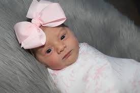 Photos by Adena Pedigo (@adenacp) · November 11, 2025