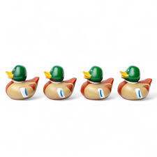 Amazon.com: Mallard Rubber Duckies