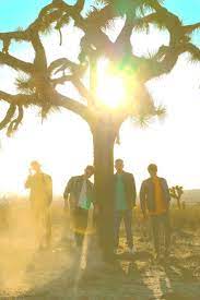 Glass Animals Official Website Glass Animals Animals Painting