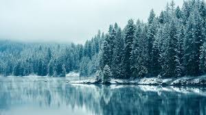 Winter Aesthetic Desktop Wallpapers Wallpaper Cave