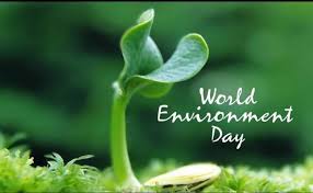 Knowing the ways to protect the environment is really important, let us look in detail about the objectives, themes. World Environment Day 2020 Celebrate Biodiversity Missionary Sisters Of St Columban
