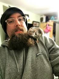 My Rats are BIG mothers! They evade all traps and won't touch block bait  whether it's wrapped unwrapped, in boxes or left out ( unlocked areas).  Want to put something super strong