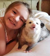 SOBRECARGA DE TERNURA💞