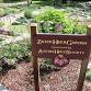 Austin Herb Society Monthly Meeting event image