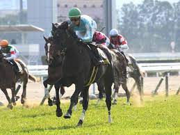 The japan racing association (japanese: æ¡œèŠ±è³ž G1 ã¾ã¨ã‚ 2021å¹´4æœˆ11æ—¥ã«é˜ªç¥žç«¶é¦¬å ´ã§é–‹å‚¬ Netkeiba Com ç«¶é¦¬äºˆæƒ³ çµæžœ é€Ÿå ± æ³¨ç›®é¦¬ã®ç«¶é¦¬æœ€æ–°æƒ…å ±