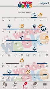 Infant Growth Spurt Chart Www Bedowntowndaytona Com