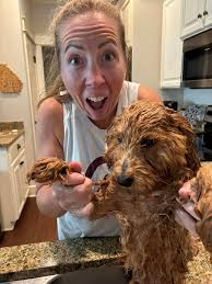 Golden Doodle Owners
