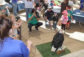 Orange County Bird of Prey Center