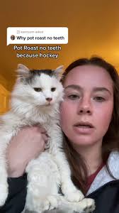 Answer to @kamryann she lost all her teeth to dental disease over a period  of years #potroasttok #catlover #petdentalhealth #athletesoftiktok