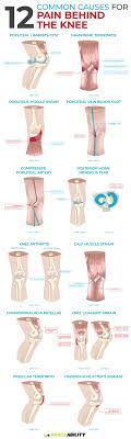 Pin On Knee Injuries Why Does My Knee Hurt Common Problems That Cause Knee Patella Pain