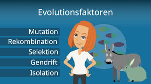 Bei der häufigkeitsverteilung der phänotypischen zum beispiel können wir in einer menschlichen bevölkerung das gewicht einer anzahl ihrer mitglieder. Selektion Defintion Naturliche Selektion Mit Video