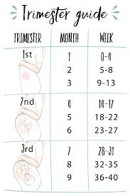 How long should my baby's naps be? Pregnancy 101 Weeks Months And Trimesters