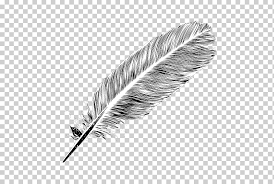 the lost language of plants book non fiction feather a black feather free pull element free logo design template animals peacock feather png klipartz klipartz