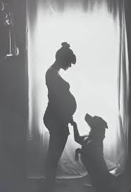 Fotowand selber machen fotokollage basteln farbbilder fotos. Pin Auf Schwangerschaft Pregnancy