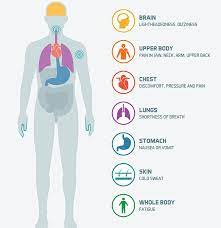 Chest Pain Healthdirect