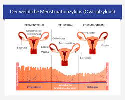 Ab wann besteht ein schutz nach pillenpause? Ab Wann Wirkt Die Pille Fragen Zur Antibabypille