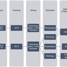 Flow Chart Of The Methodology Of The Study E12 Is Epoxy