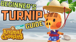 How To Buy And Sell Turnips - Animal Crossing: New Horizons | Shacknews