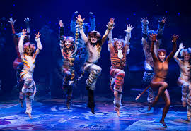 The first cats broadway revival opened in summer 2016, produced by the shubert organization and the nederlander organization. Everything You Need To Know About The Musical Cats Teen Vogue