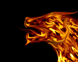 Free Download Fire Wallpapers Hd Download Wallpaper Dawallpaperz 1280x1024 For Your Desktop Mobile Tablet Explore 49 Free Wallpapers For Fire 7 Fire Background Wallpaper Fire Department Wallpaper Fire Wallpaper Free Download Download all photos and use them even for commercial projects. free download fire wallpapers hd