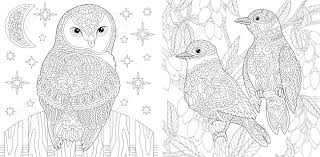 There are a lot of adult coloring pages patterns flowers around the internet, and you should surely find one of them. Adult Coloring Book Beautiful Owl And Couple Of Lovely Birds Royalty Free Cliparts Vectors And Stock Illustration Image 146991217