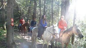 More Trails At Horsecountry Campground Www Horsecountrycampground Com Horsetrails Equine Camping Horses Equine Lifestyle Horse Trail