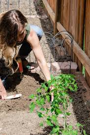 See more ideas about rogers gardens, tutorial, home and garden. Plant A Salsa Garden Video Muy Bueno Cookbook