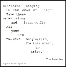 Blackbird Singing In The Dead Of Night Lyrics My Purple Dreams Blackbird Beatles Lyrics Inspirational Quotes Black Bird