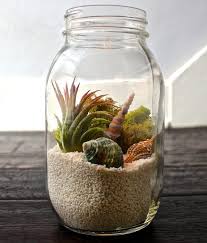 Air plants or tillandsia, are unique little plants with no roots. 51 Most Amazing Air Plant Display Ideas Balcony Garden Web