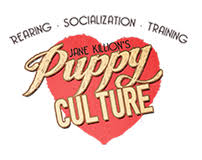 Exercise Guidelines For Puppies By Puppy Culture Inugami