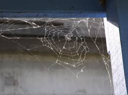 Menurut fahaman imam al mawardi. Puisi Sarang Laba Laba Kompasiana Com