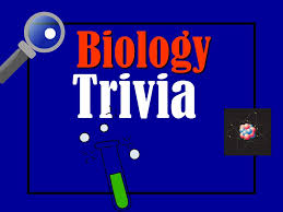 I hope you've done your brain exercises. Biology Trivia N Home Scoreboard Visitor Too Bad Ppt Download