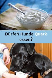 Durfen Hunde Quark Essen Dogco De Hunde Ernahrung Hundeernahrung Hunde Kekse Rezept