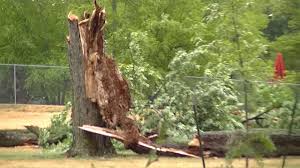 The storm powerful storm known as a derecho tore from eastern nebraska across iowa and parts of wisconsin and illinois, blowing over trees, flipping vehicles and causing widespread property and. Derecho Storm Damage In Fort Wayne In June 29 2012 Youtube