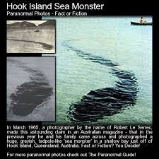 Hook Island Sea Monster Fact Or Fiction Le Serrec Then Apparently Summoned The Courage To Get Underwat Weird Creatures Paranormal Photos Cryptozoology