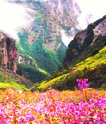 It is at a height of 11000 feet to 14000 feet above sea level in western himalayas. Valley Of Flowers National Park Uttarakhand India Pixohub Valley Of Flowers Beautiful Places To Visit National Parks