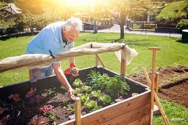 Hier lesen sie, was zu beachten ist, wenn man einen garten anlegen möchte, der wenig arbeit macht. Pflegeleichter Garten Fur Jung Und Alt Garten Und Freizeit