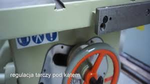 Image result for Frommia