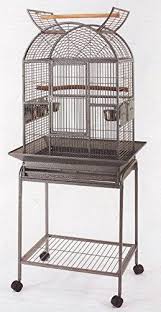 Bird Cage Seed Guard Metal New Open Dome Top Bird Small Parrot Wrought Iron Cage With Metal Seed Guard And Removable Rolling Standblack Vein Check Out Th Big Bird Cage Parrot Cage Bird