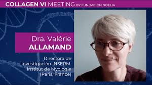 Collagen VI MEETING 2022