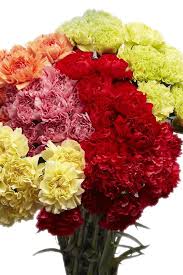 Aug 13, 2004 · flowers of many varieties have a fragrance so heady that they're used to make potpourri, soap, and perfume; 15 Best Online Flower Delivery Services 2021
