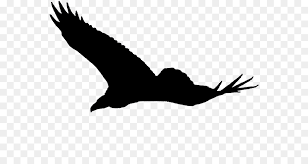 Eagle Cartoon Png Download 617 480 Free Transparent Eagle Png Download Cleanpng Kisspng Illustration of an eagle silhouette. clean png