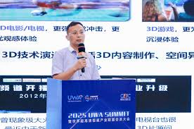 2025 UWA SUMMIT】《基于万兆全光网的AI增强家庭3D观影解决方案及 ...