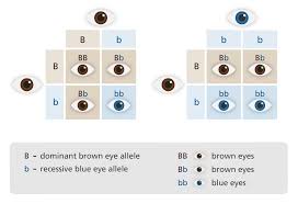Pin By Gail Gilla Czyszczon On Kid Stuff Teaching Biology Biology Lessons Life Science Lessons