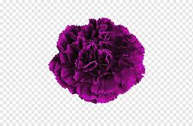 Maybe you would like to learn more about one of these? Deep Purple Png Images Pngwing